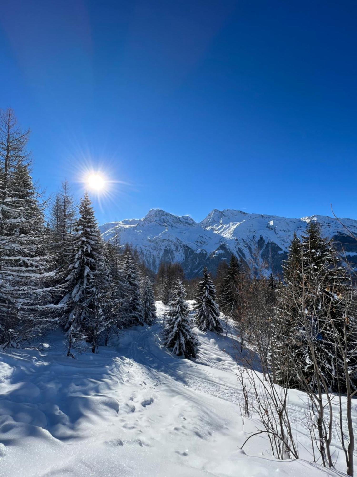 Chalet Altus Sainte-Foy-Tarentaise Ngoại thất bức ảnh