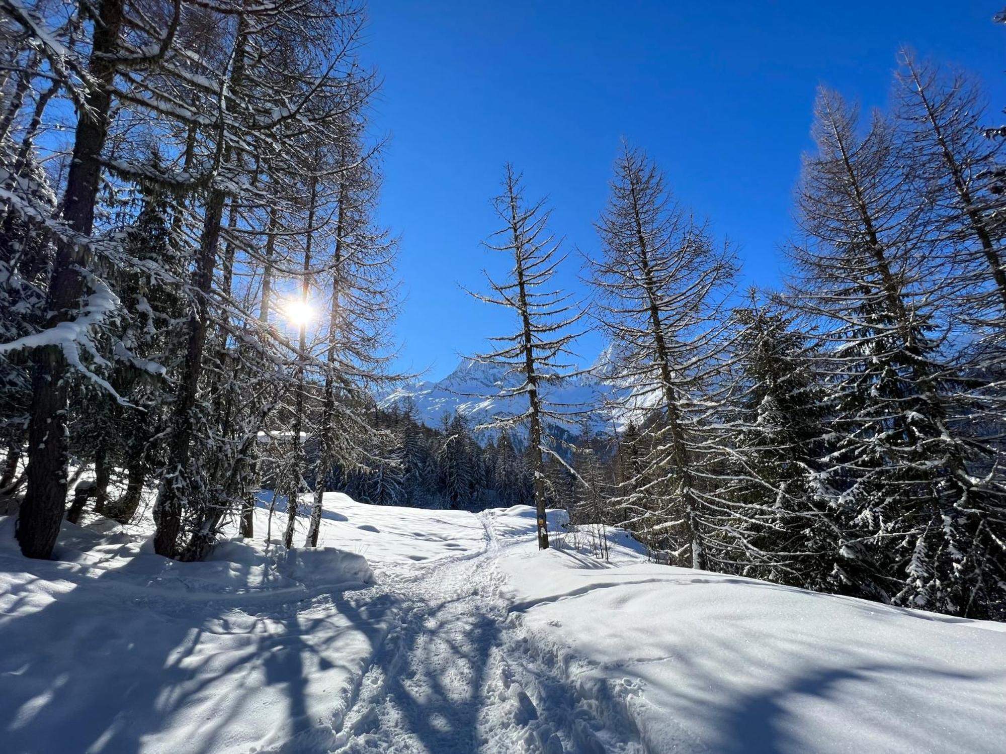 Chalet Altus Sainte-Foy-Tarentaise Ngoại thất bức ảnh